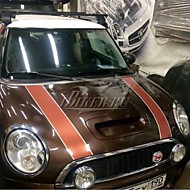 Полоски капота для Mini Cooper